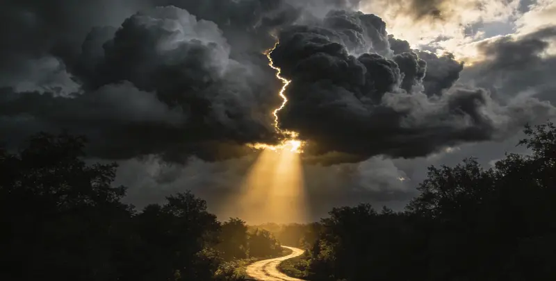 肺癌靶向39基因检测（组织）图3