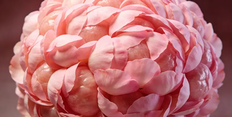 揭阳BRCA1/2乳腺癌卵巢癌基因检测图片1